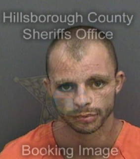 Castillo Jeremy - Hillsborough County, Florida 