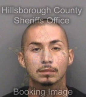 Aguilar Louis - Hillsborough County, Florida 