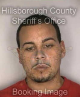 Rivera Samuel - Hillsborough County, Florida 