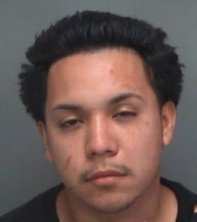 Martinez Jorge - Pinellas County, Florida 