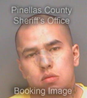 Dinh Julian - Pinellas County, Florida 