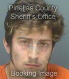 Lisenby Steven - Pinellas County, Florida 