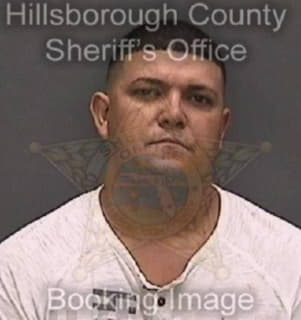 Chavezgonzalez Yunier - Hillsborough County, Florida 