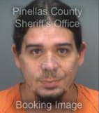 Branam Nicholas - Pinellas County, Florida 