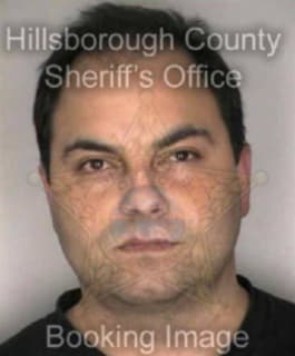 Pereda Mario - Hillsborough County, Florida 