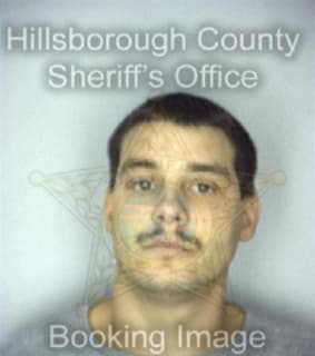 Hernandez Roberto - Hillsborough County, Florida 