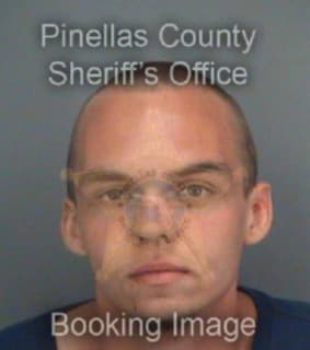 Brandes Dillon - Pinellas County, Florida 