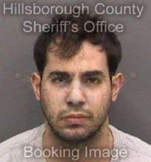 Lopezguinand Juan - Hillsborough County, Florida 