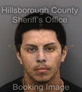 Dominguez Luis - Hillsborough County, Florida 