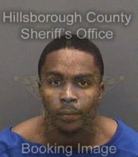 Richardson Dayshawn - Hillsborough County, Florida 