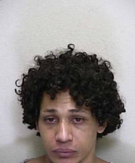 Dominguez Anthony - Marion County, Florida 