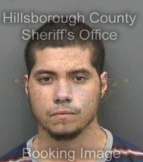 Rivera Domenic - Hillsborough County, Florida 