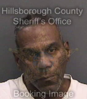 Millan Gonzalo - Hillsborough County, Florida 