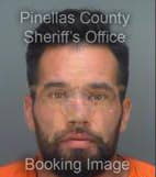 Gonzalez Anthony - Pinellas County, Florida 