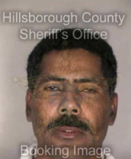 Reynoso Dejesus - Hillsborough County, Florida 