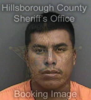 Lopezvelasco Gabriel - Hillsborough County, Florida 