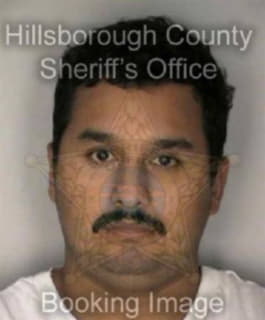 Araque Jorge - Hillsborough County, Florida 