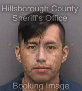 Vasquezrivera Nicolas - Hillsborough County, Florida 