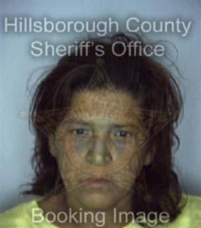 Rodriguezhernandez Amelia - Hillsborough County, Florida 