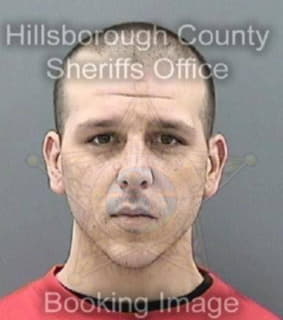 Orsi Christian - Hillsborough County, Florida 