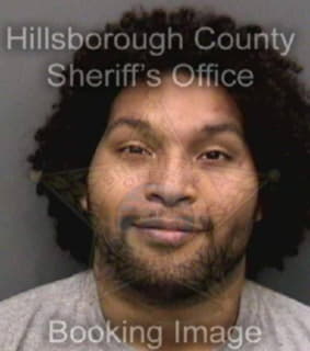 Rodriguez Victor - Hillsborough County, Florida 