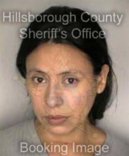 Vargaskozich Imelda - Hillsborough County, Florida 