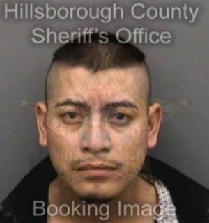 Rosalesflores Ismael - Hillsborough County, Florida 