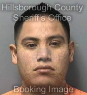 Perezavendano Omar - Hillsborough County, Florida 