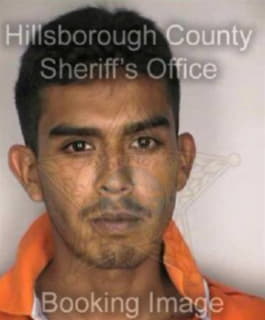 Rodriguez Saul - Hillsborough County, Florida 