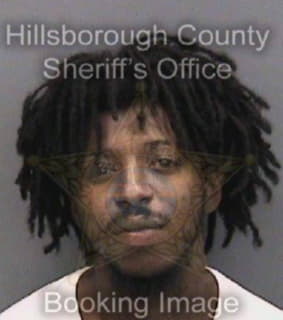 Fowler Dandre - Hillsborough County, Florida 