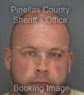 Bogucanin Dejan - Pinellas County, Florida 