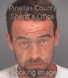 Lovell Eric - Pinellas County, Florida 