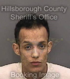 Martinezalonso Ernesto - Hillsborough County, Florida 