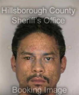 Lee Rene - Hillsborough County, Florida 