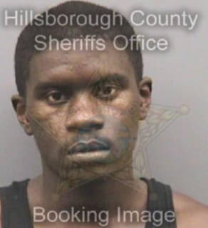 Wilson Demonterrio - Hillsborough County, Florida 