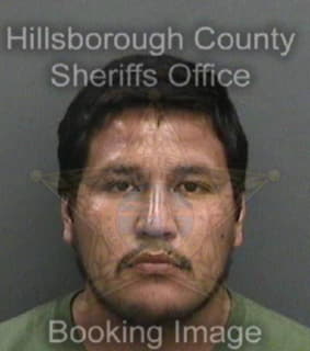 Villalobos Ramiro - Hillsborough County, Florida 