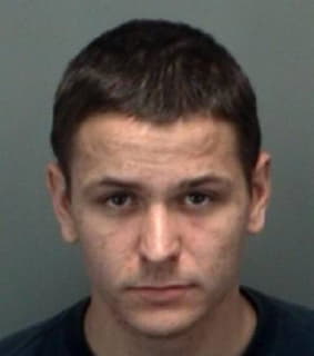 Derby Rockmore - Pinellas County, Florida 