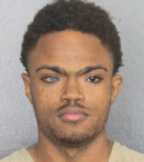 Michel Chalson - Broward County, Florida 