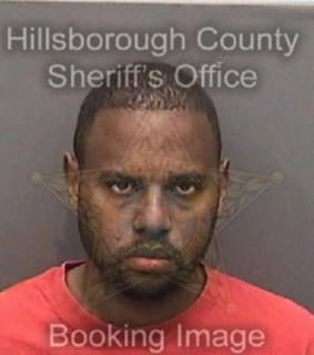 Randall Derek - Hillsborough County, Florida 