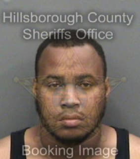 Newton Michael - Hillsborough County, Florida 