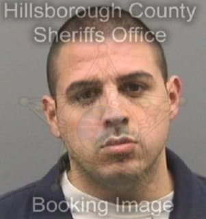 Mendez Michael - Hillsborough County, Florida 