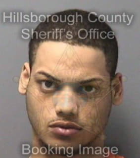 Coleman Darrian - Hillsborough County, Florida 