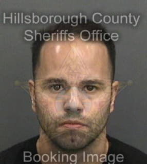 Olsen Michael - Hillsborough County, Florida 