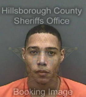 Latham Shawn - Hillsborough County, Florida 