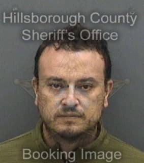 Carranza Jorge - Hillsborough County, Florida 