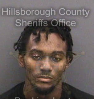 Robinson Julius - Hillsborough County, Florida 