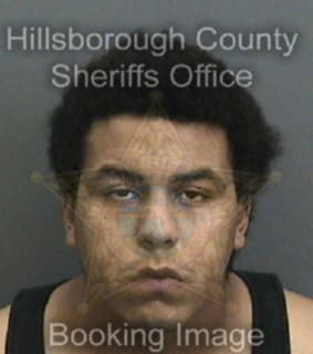 Lewis Orlando - Hillsborough County, Florida 