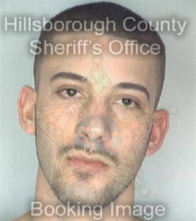 Mixon Ryan - Hillsborough County, Florida 