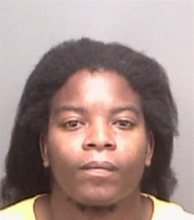 Johnson Bernard - Pinellas County, Florida 