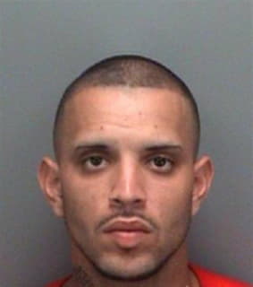 Medina Jose - Pinellas County, Florida 